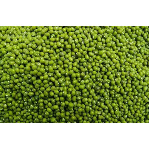 Whole Green Moong Seeds