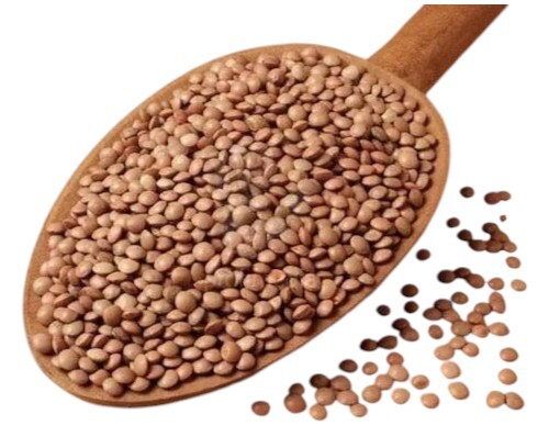 Whole Masoor Seeds