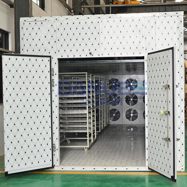 Camellia Oleifera Fruit Drying Room Camellia Oleifera Dehydrator Machine Camellia Oleifera Dehumidifier Equipment - Capacity: Customized Kg/Hr