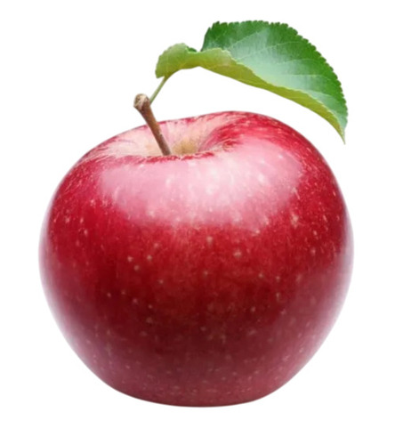 Fresh Apple By Threestar Exports