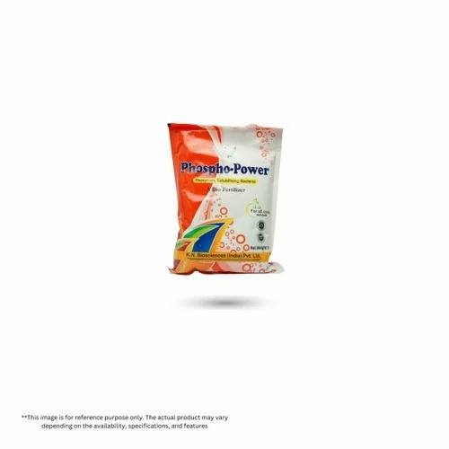 Phosphate Solubilizing Bacteria