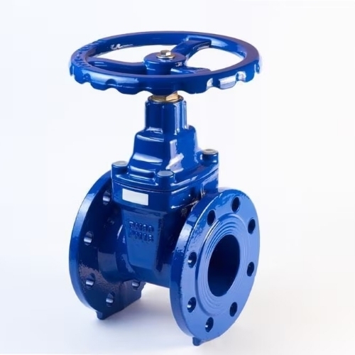Gate Valve