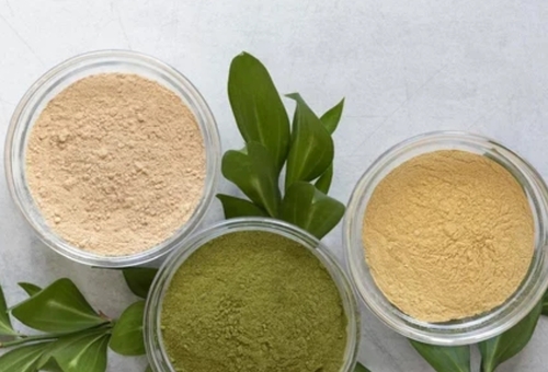 Noni Fruit Extract Powder