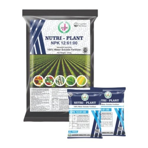 NPK 12 61 00 Water Soluble Fertilizer