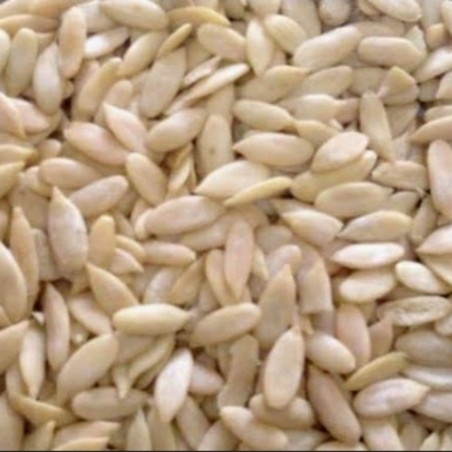 Muskmelon Seeds