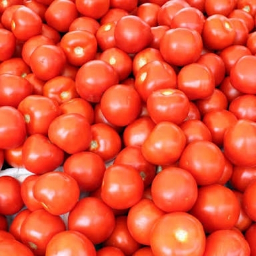 Tomatoes