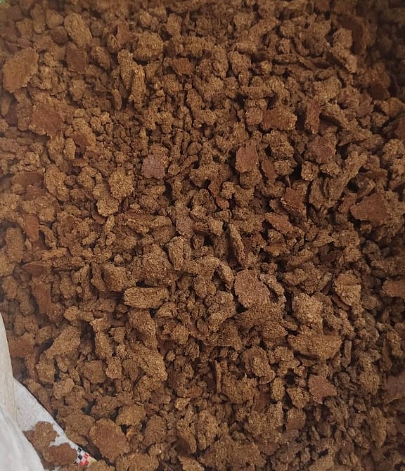 Copra Cake - Fat: 15.96 Percentage ( % )