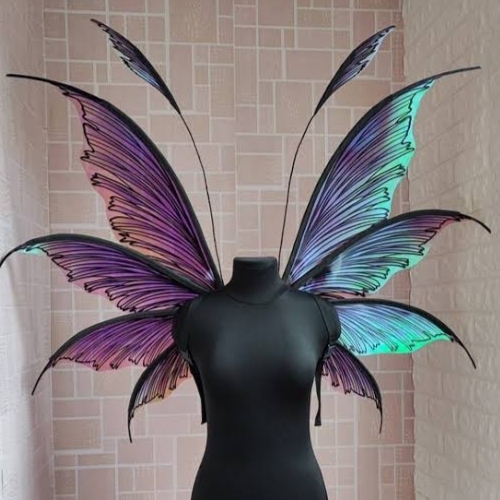 Fancy Dress Wings