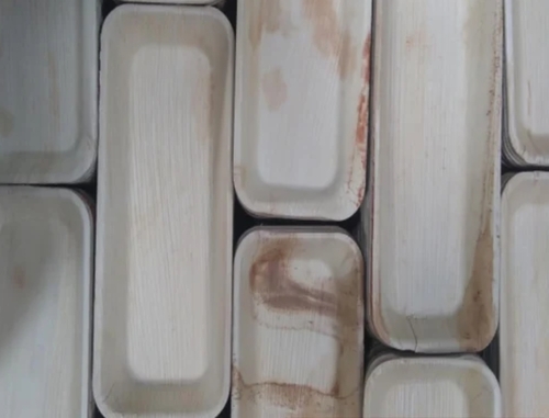 Areca Rectangle Plates