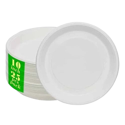 10inch Sugarcane Bagasse Disposable Plate