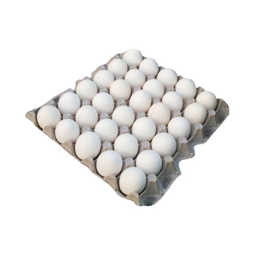 Egg Tray