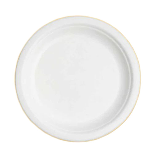 White Bagasse Disposable Plate