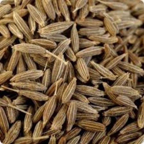 Brown Cumin
