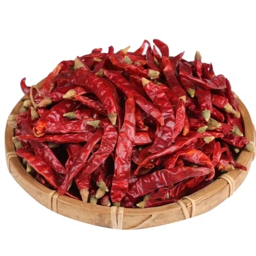 Dry Red Chilli