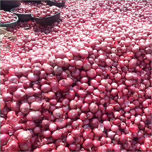 Fresh Red Onion