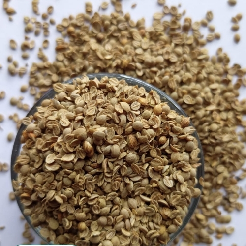 Coriander Seed