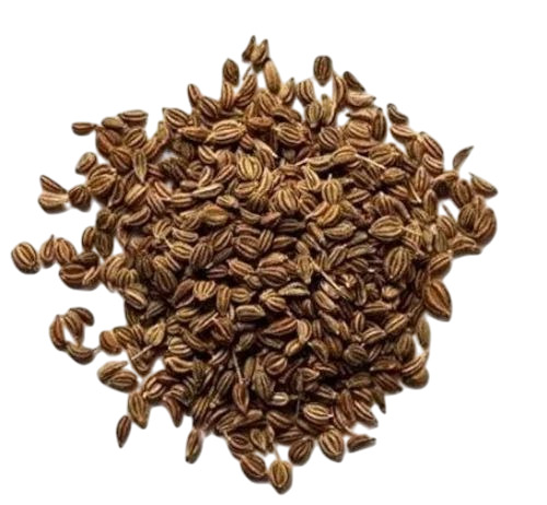 organic ajwain