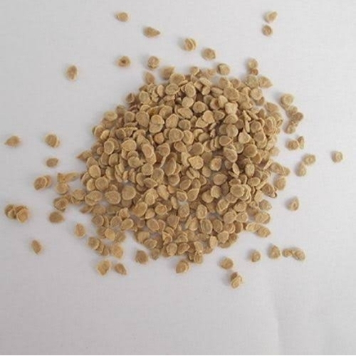 Dried Tomato Seed