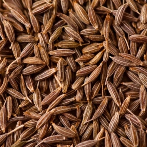Jeera Cummins seeds