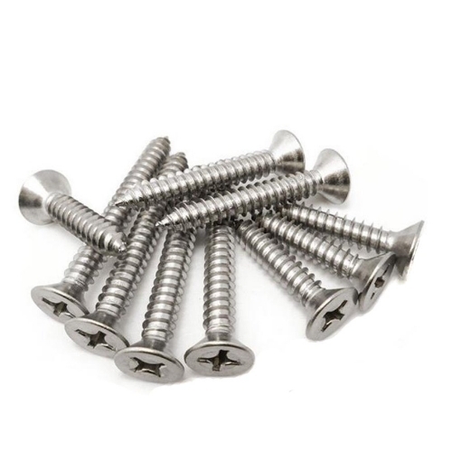 Stainless Steel Screw