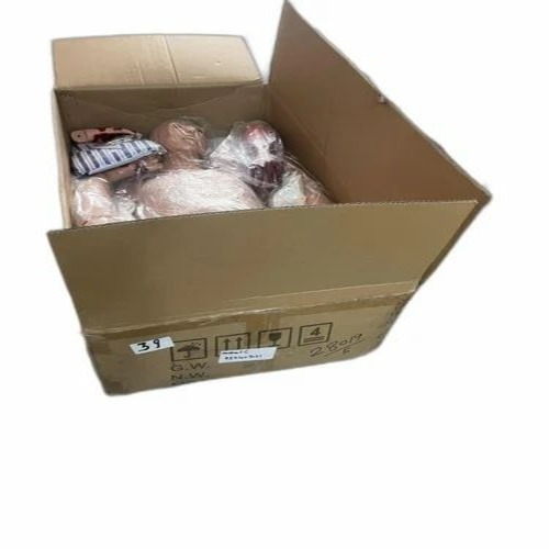 Advanced Trauma Nursing Care Manikin