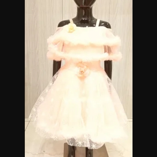 Girls Fancy Dress