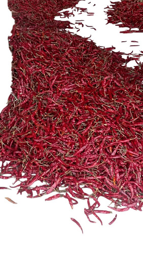 Teja Red Chilli