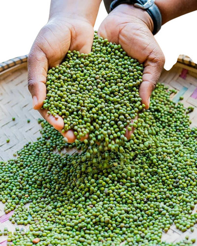 Whole Green Moong Pulses