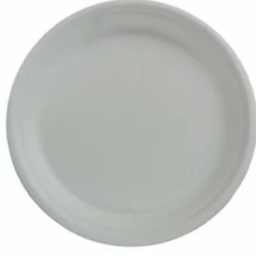 10 Inch Sugarcane Plate