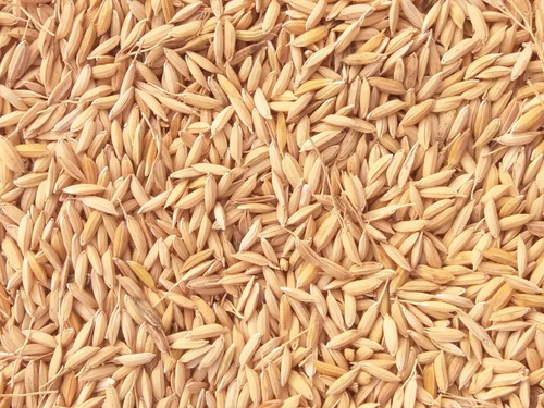 Rice Husk Pellet