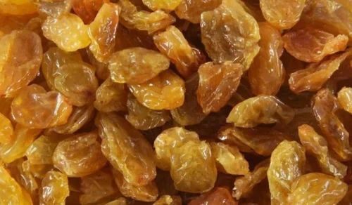 Golden Raisins