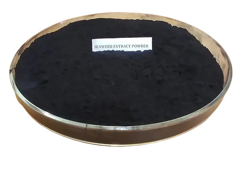 Seaweed Extract Powder