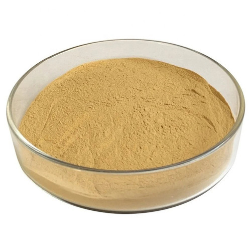 Yeast Extract Powder
