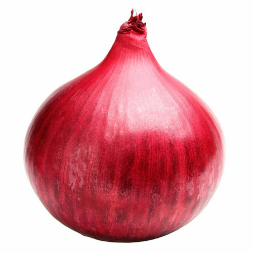 Fresh Red Onion - Moisture (%): .