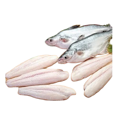 Frozen Vietnamese Basa Fillet
