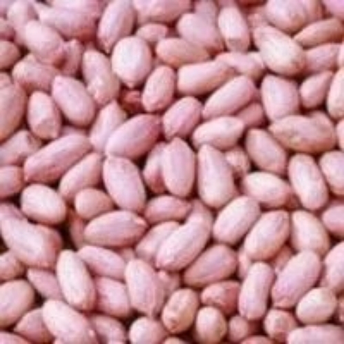 Peanut By Shri Veera Agro Trading