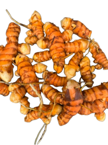 Raw Turmeric Roots
