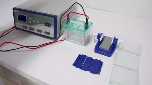 Electrophoresis And Allied Systems