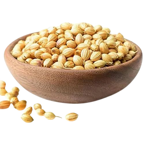 Organic Coriander Seeds