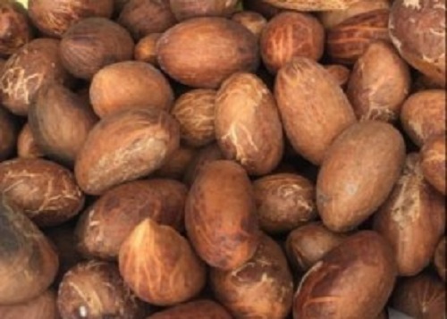Dried Bitter Kola Nuts