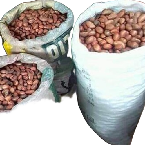 Dried Bitter Kola Nuts
