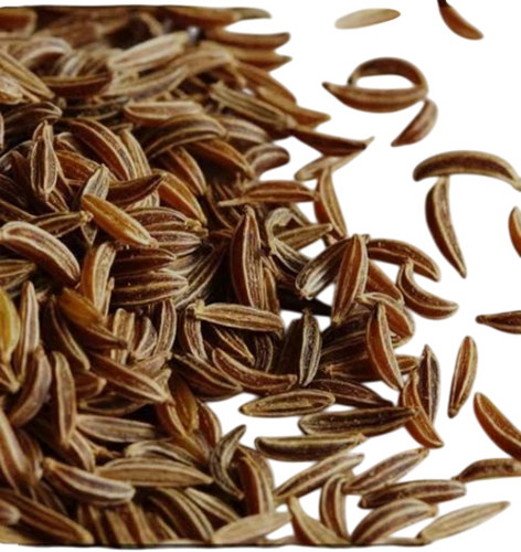 Shah Cumin Seed
