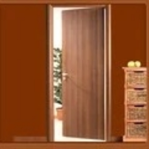 Flush Door