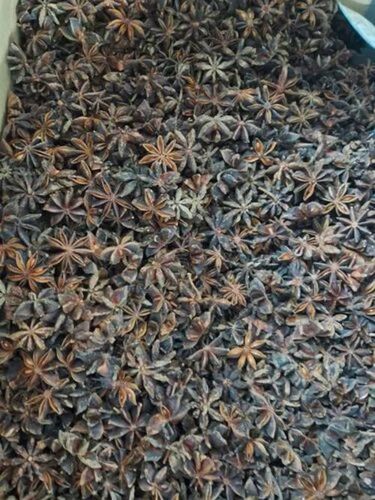 Star Anise