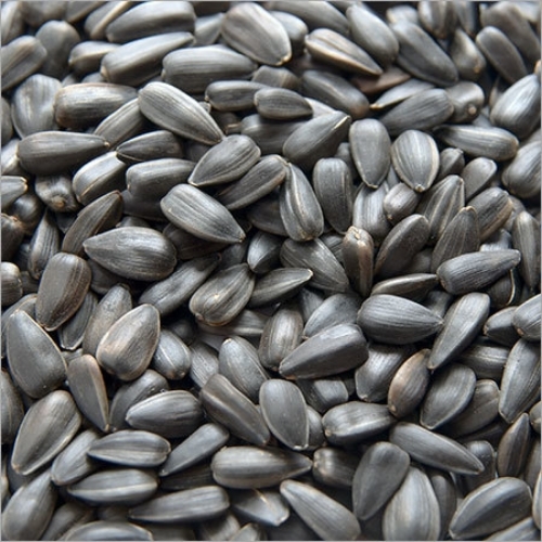 Sun Flower Seeds