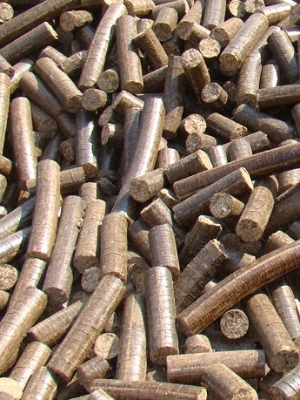 Brown Biomass Briquettes