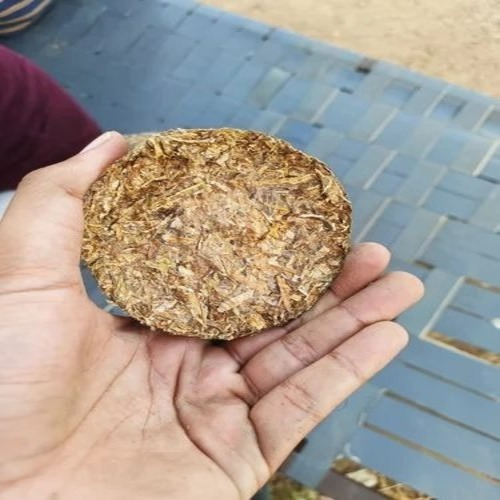 Saw Dust Biomass Briquette