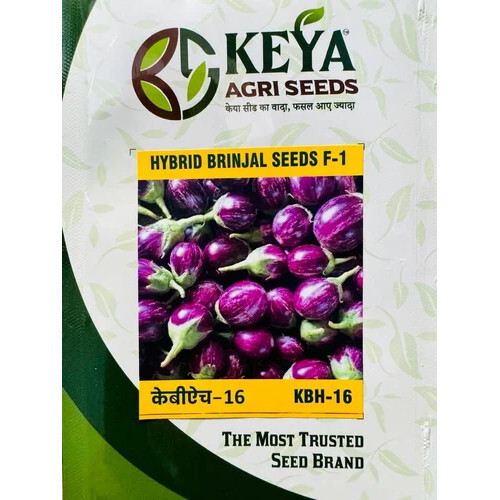 16 KBH Hy Brinjal Seed