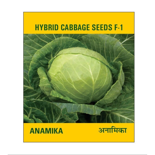 Anamika Hybrid Cabbage Seed