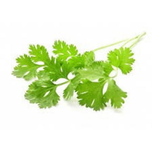 Coriander Leaves